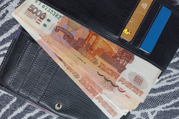 В Госдуме раскрыли подробности о вводимой с 2026 года «семейной выплате»